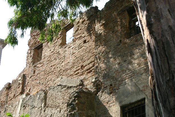 avignone1
