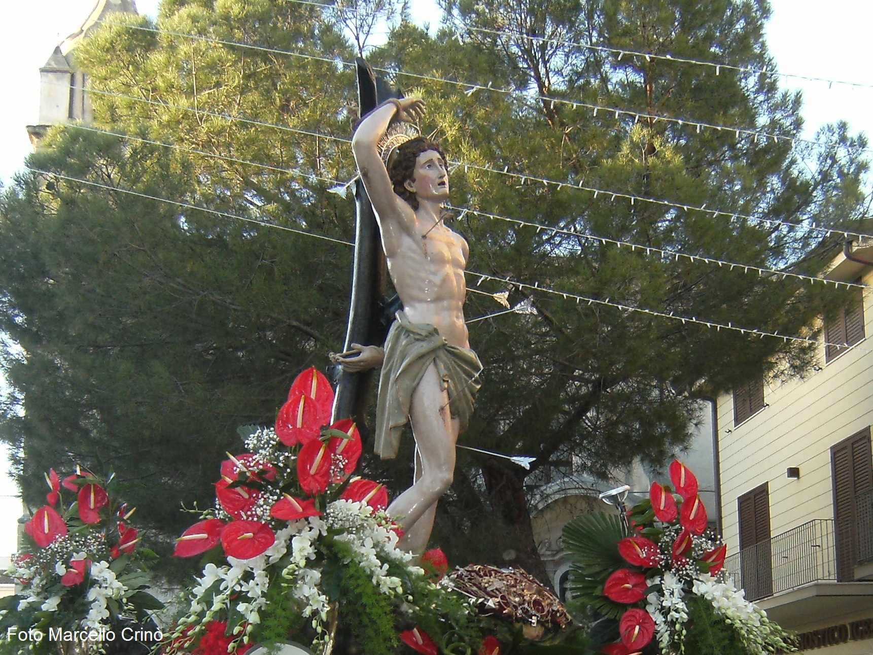 DSCF4536 2