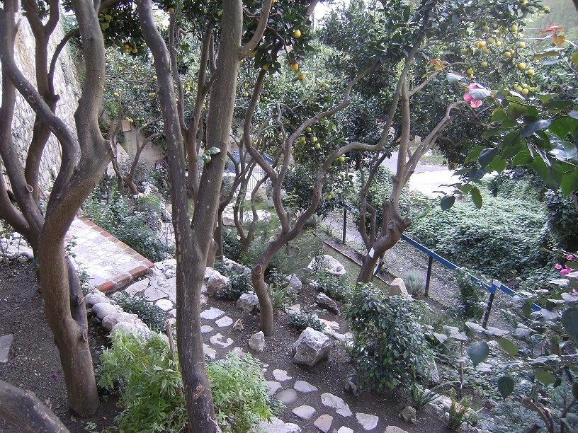 DSCF0671