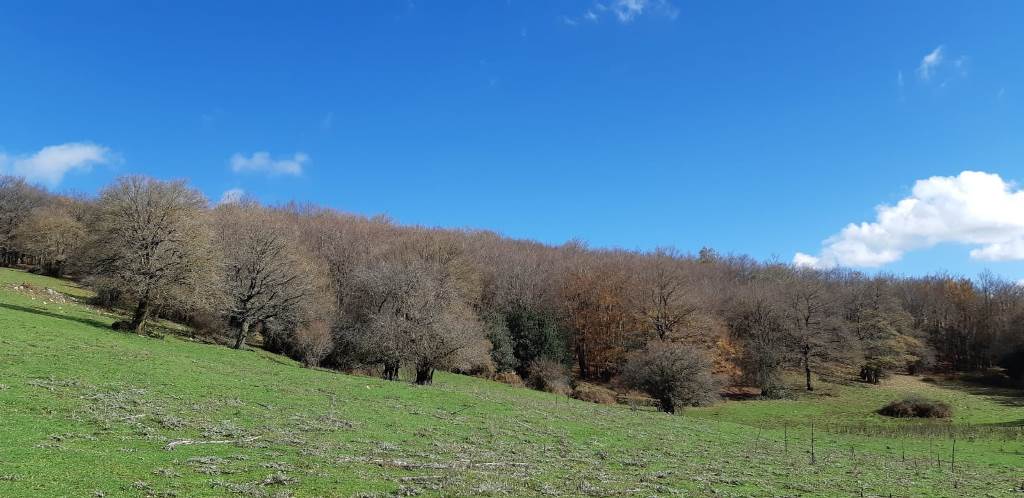 Il Parco sottratto dalla criminalità