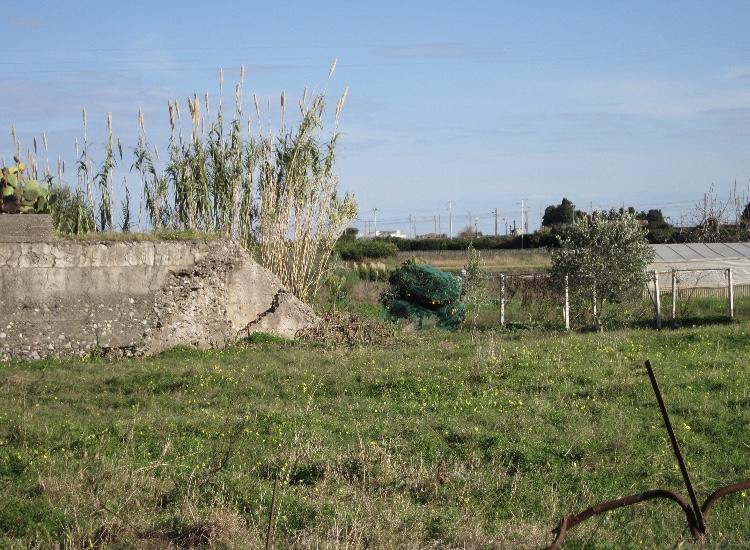 Torrente del Mela 4