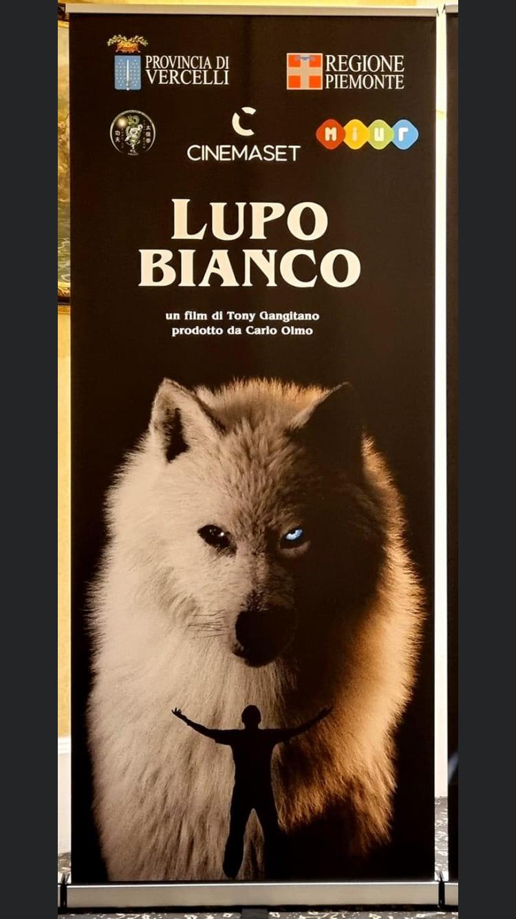 Lupo Bianco