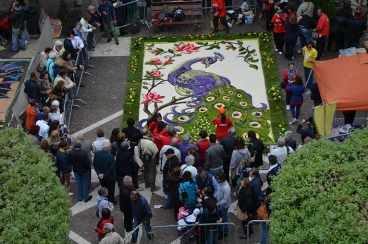 I Maestri Infioratori di San Pier Niceto sbarcano a Roma