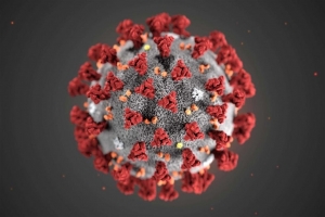 Coronavirus, così le risorse ai Comuni per l&#039;assistenza alimentare