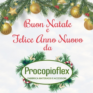 Procopioflex augura a voi tutti un Sereno Natale e un Felice anno nuovo.
