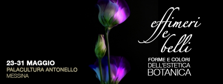 Messina - Mercoledì 23 maggio alle ore 16.30 sarà inaugurata presso il Palacultura Antonello la mostra  &quot;Effimeri &amp; belli - forme e colori  dell&#039;estetica botanica&quot; del Liceo &quot;Seguenza&quot;.