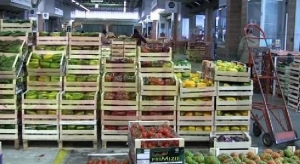 Economia in crollo in Sicilia e in tutta Italia. Ortofrutticoli in crisi. Riceviamo da Aiace un appello