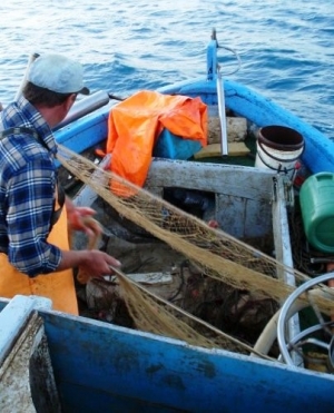 Coronavirus: Spinella (UNICOOP SICILIA):  Regione attivi il Fondo di solidarietà il comparto pesca, fermo da due mesi