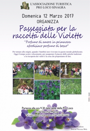 Sinagra – L’Associazione Turistica Pro Loco di Sinagra propone una passeggiata di gruppo tra i boschi per la raccolta delle violette, da effettuarsi durante la giornata del 12 marzo prossimo.