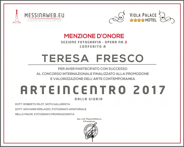 Arteincentro 2017 - Sezione fotografia - MENZIONE D’ONORE  OPERA NR.3  di TERESA FRESCO di Messina