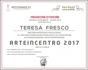 Arteincentro 2017 - Sezione fotografia - MENZIONE D’ONORE  OPERA NR.3  di TERESA FRESCO di Messina