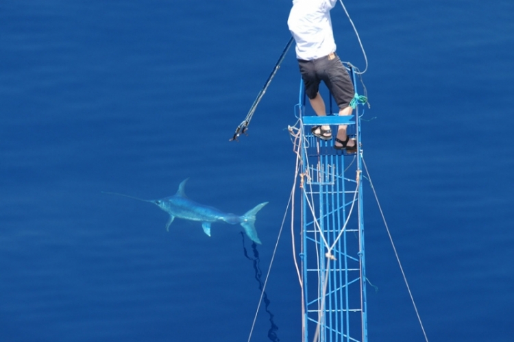 La Leggenda del pesce spada