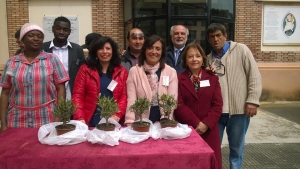 Torna un bonsai d&#039;ulivo per la Casa della Misericordia