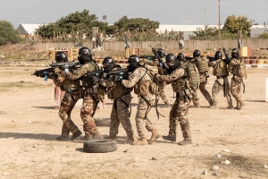 Libano: addestramento congiunto per LAF e Caschi Blu italiani  Il Contingente italiano in Libano si addestra con le Forze Armate Libanesi