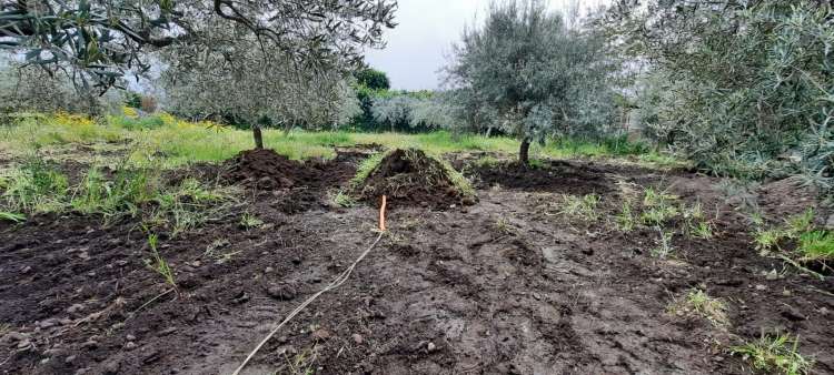 BOMBA DA 20 LIBBRE A FRAMMENTAZIONE RINVENUTA AD ADRANO (CT), INTERVIENE L’ESERCITO. Ordigno bonificato dagli artificieri della Brigata Aosta