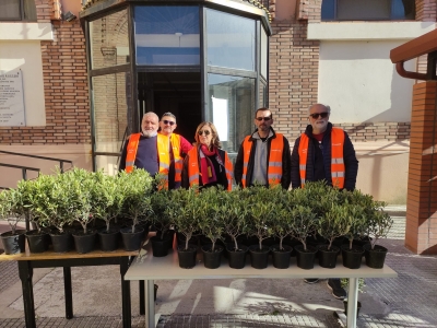 Il successo di &quot;Un bonsai per la Casa della Misericordia&quot; Posta in arrivo  Terra di Gesù Onlus