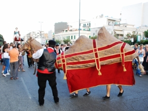 Il cammello